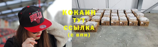 ГАЛЛЮЦИНОГЕННЫЕ ГРИБЫ Козловка